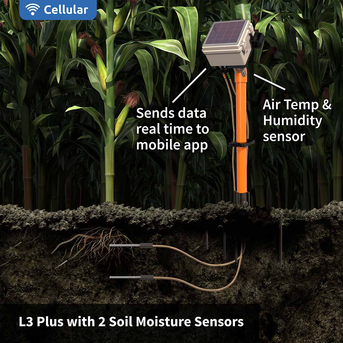 AI & IoT Automation in Agriculture